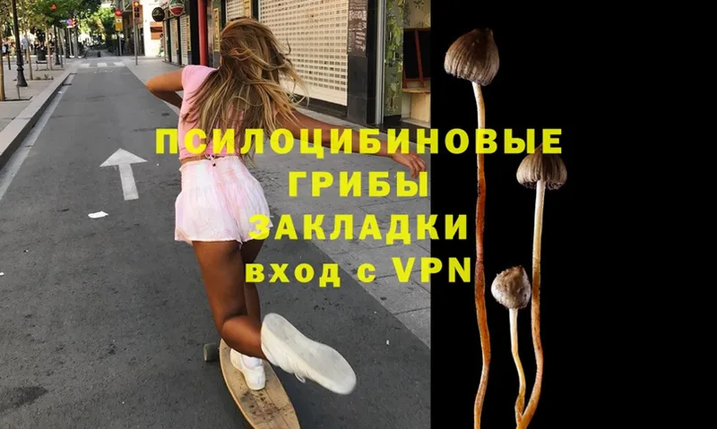 Псилоцибиновые грибы Magic Shrooms  Дмитриев 